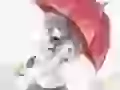 Rain. The girl with an umbrella