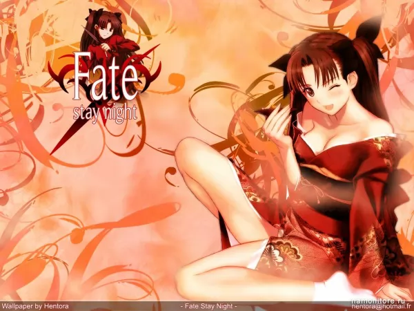 Fate/Stay Night, Аниме