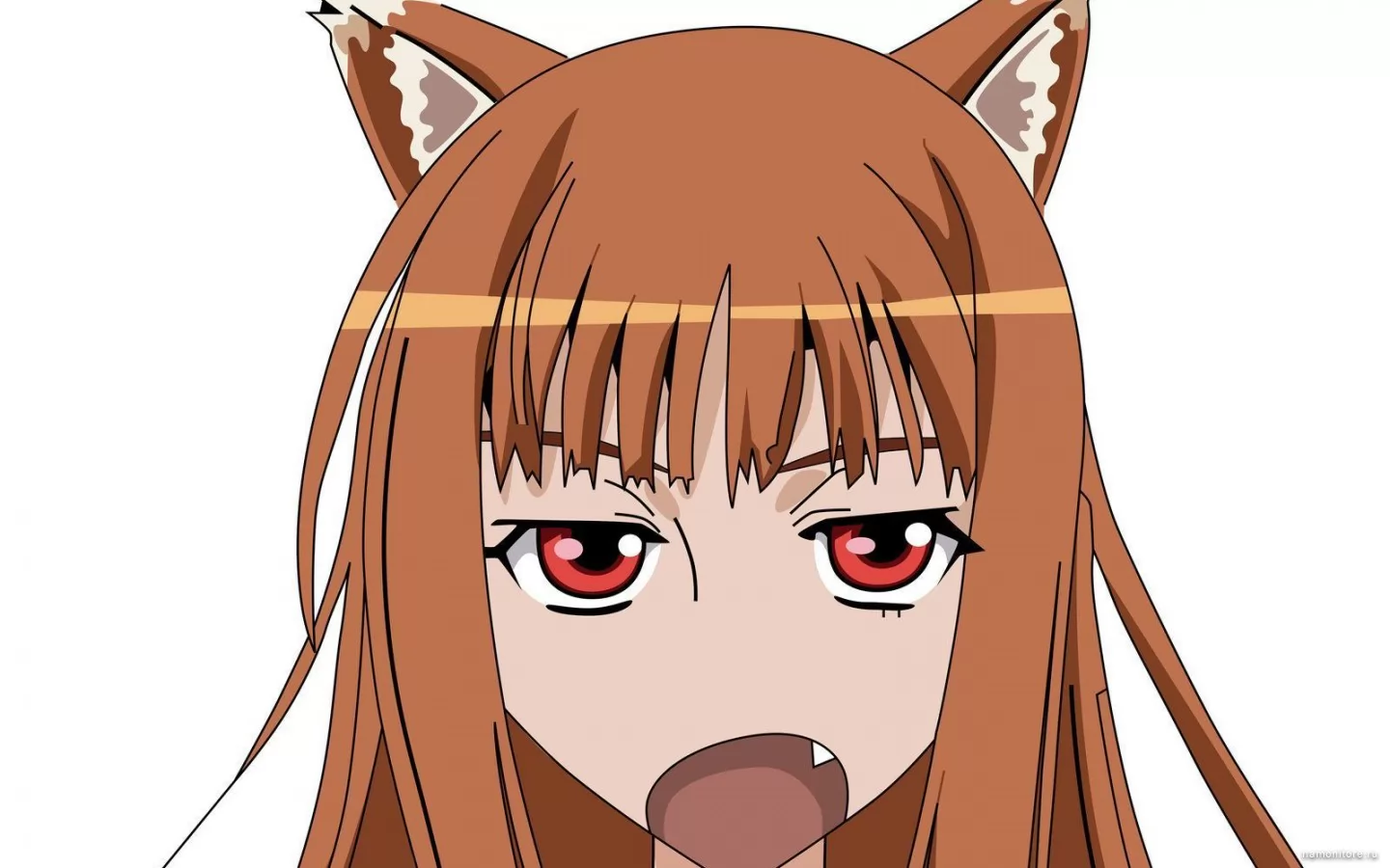 Spice and Wolf, , , , ,  