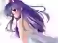 Touhou Collection