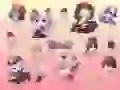 Chu x Chu Paradise