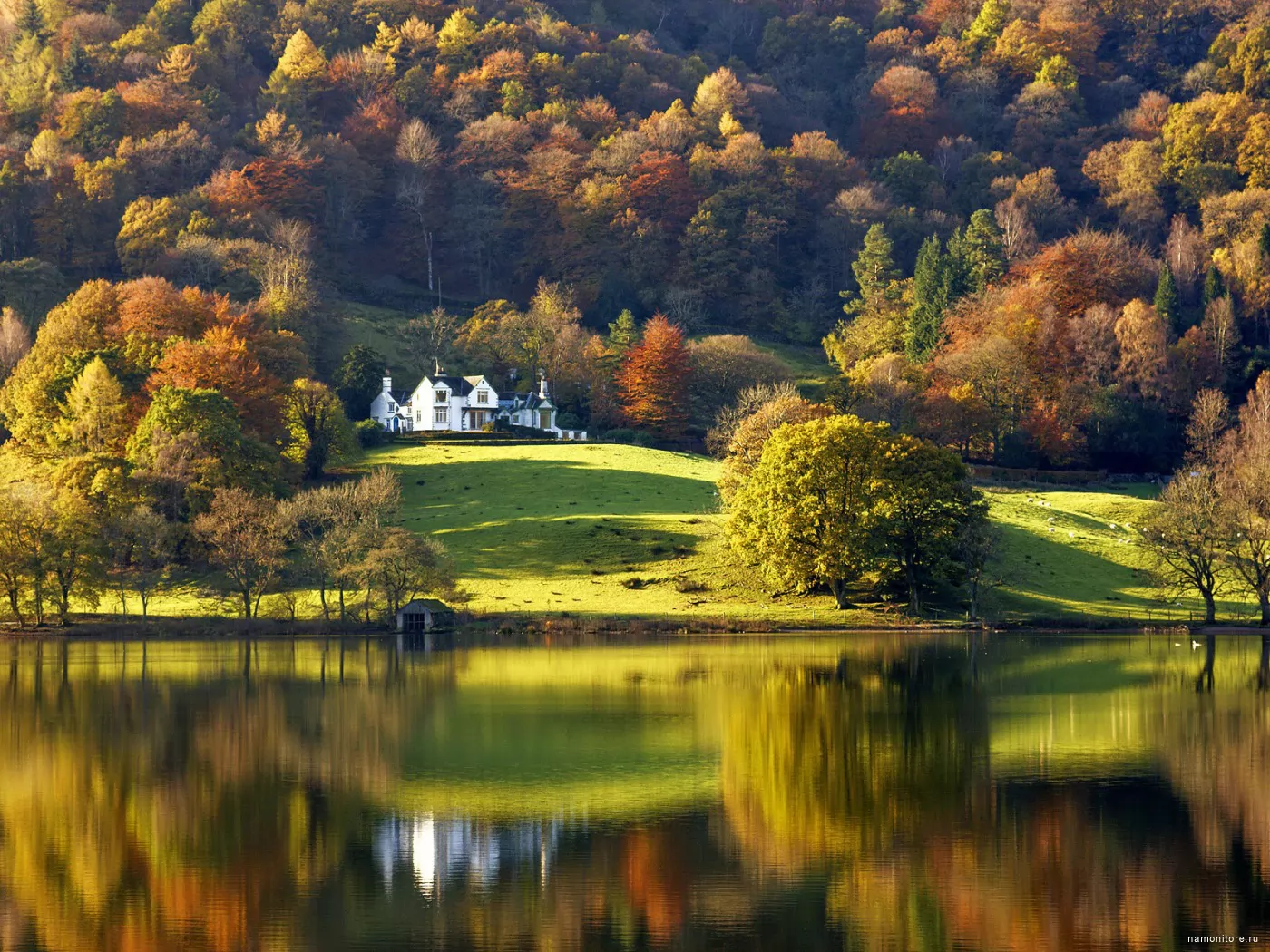 England, Cumbria, autumn, England, Europe, forest, green, lake, nature x