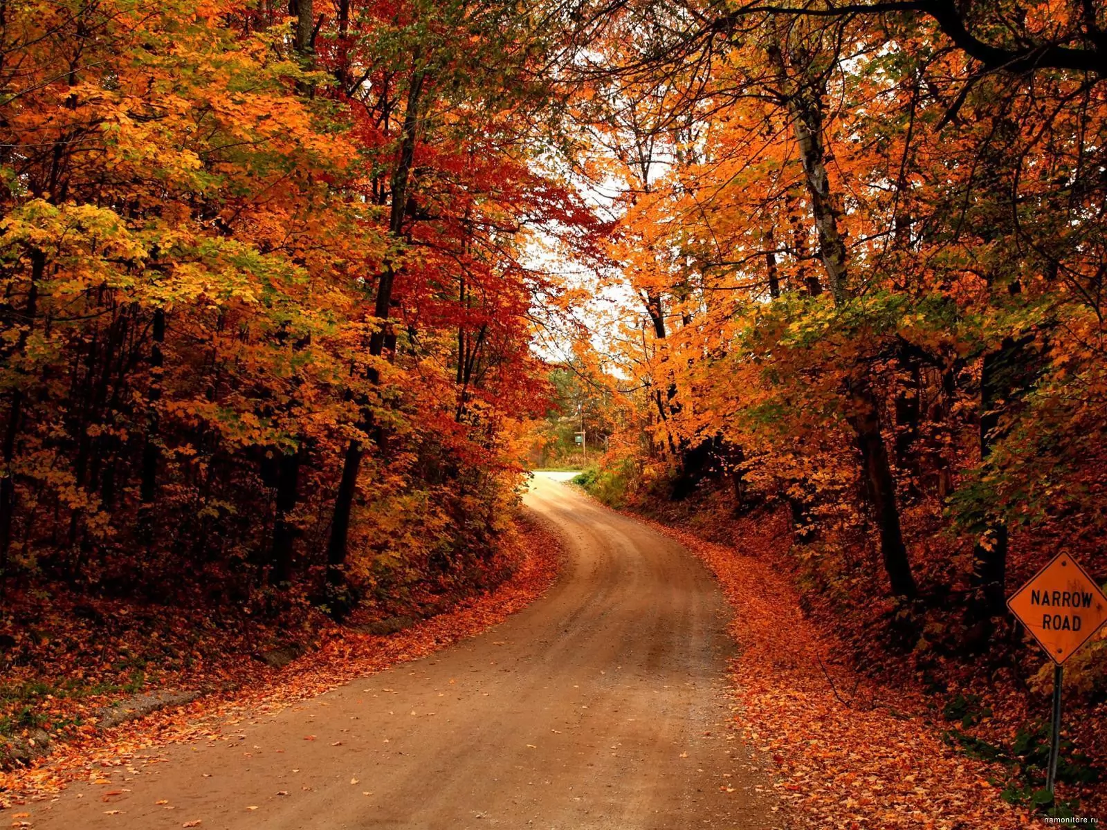 Дорога в осень, коричневое, лес, осень, природа х - Обои для рабочего стола...