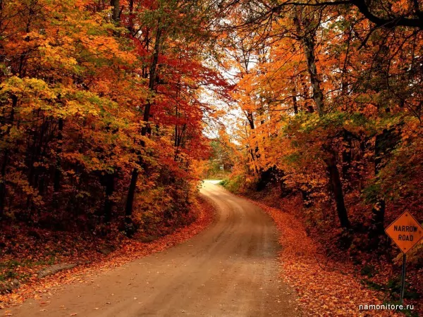 Дорога в осень, Осень