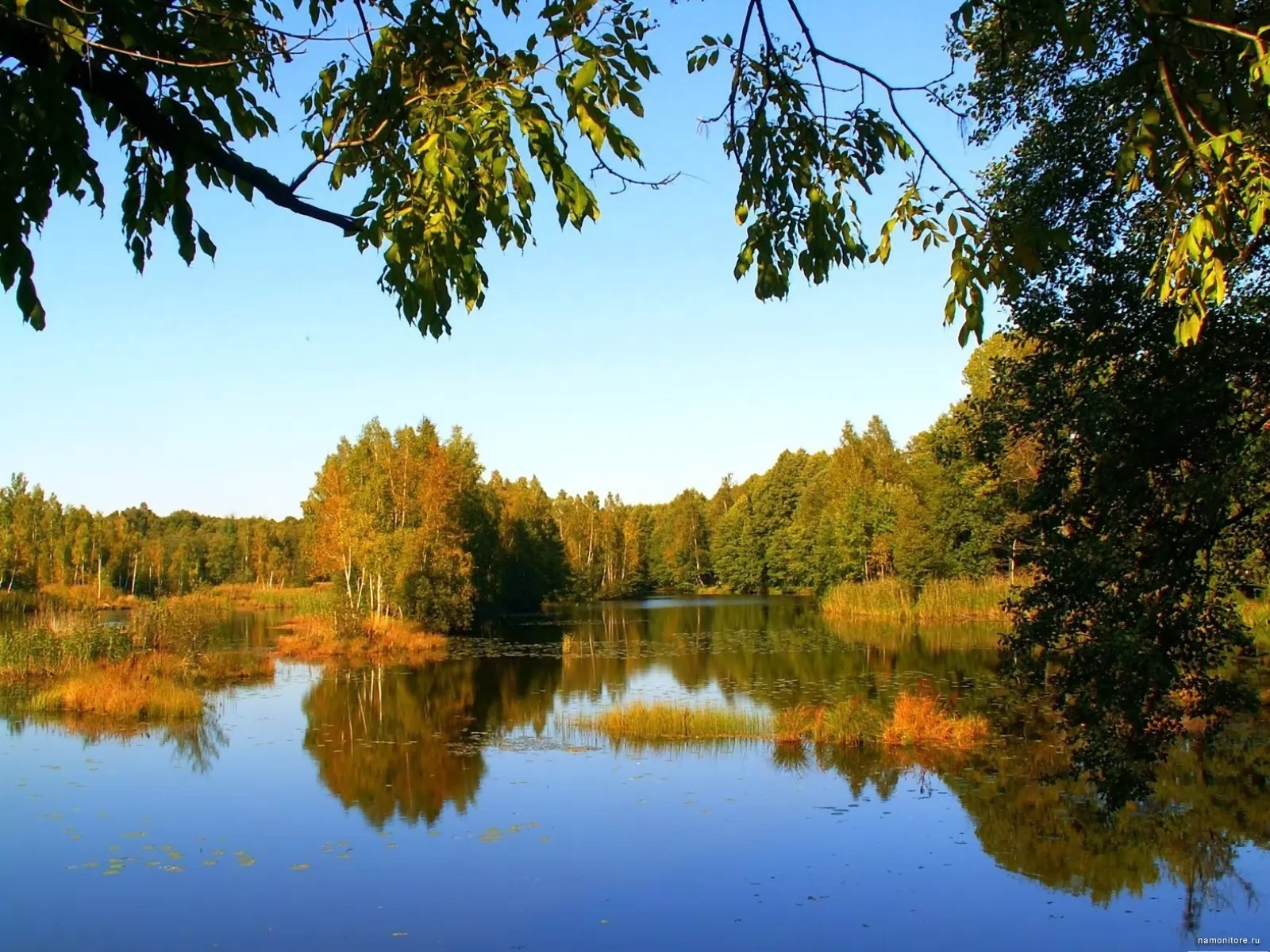 Бабье Лето Картинки Красивые Природы