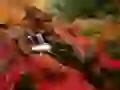 Flowing Brook