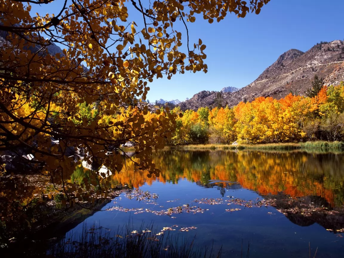. Eastern Sierra in Autumn, , ,  