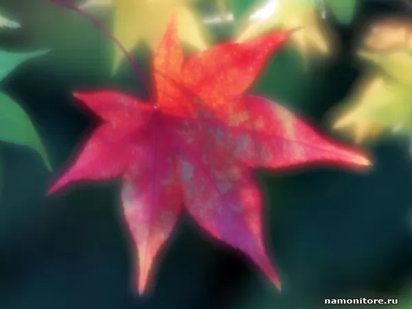 Красный лист, Осень