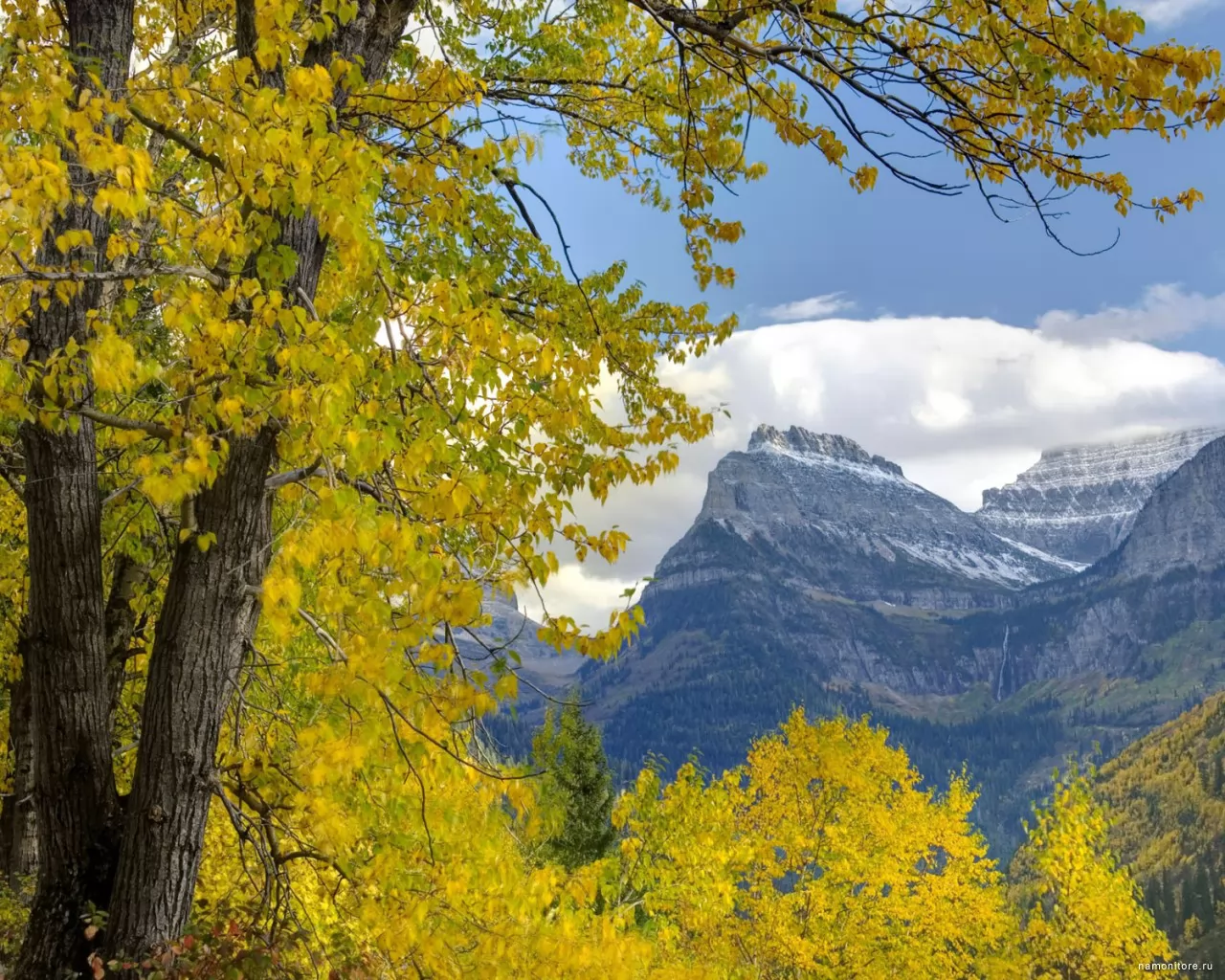 Монтана, Национальный Парк Ледников, гора Оберлин, Америка, горы, жёлтое, золотистое, осень, пейзажи, природа х