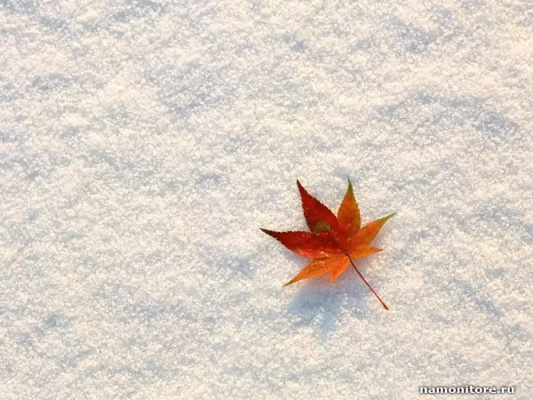 On snow, Autumn
