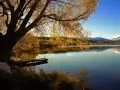open picture: «New Zealand, Lake Alexandrina»
