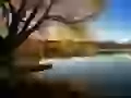 New Zealand, Lake Alexandrina