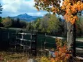    : -. Chocorua Mountain