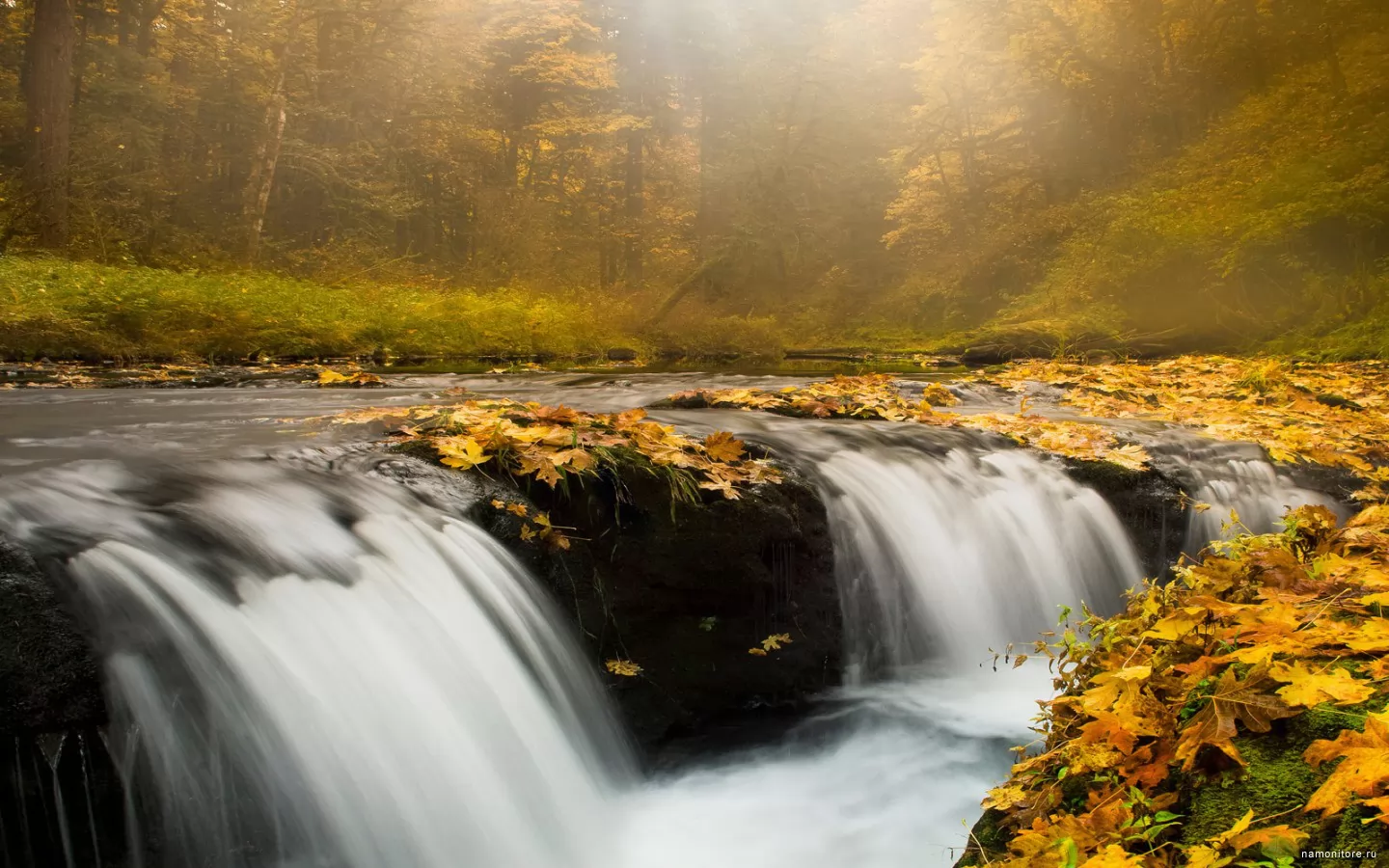 , Silver Falls State Park, , , , , , ,  