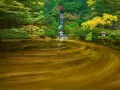 current picture: «Oregon. A Japanese garden in the autumn»