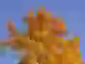 Autumn has painted