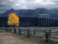 выбранное изображение: «Осень в Айдахо»
