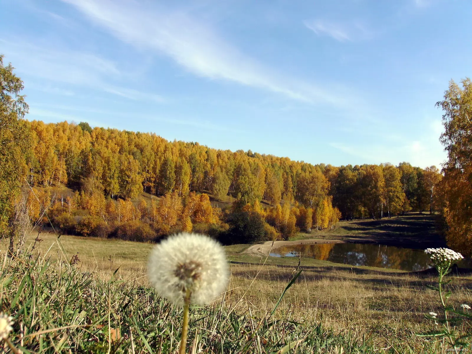 Природа любительская съемка. Осень в Сибири. Пейзажи Сибири. Осенние пейзажи Сибири. Сибирь осенью.