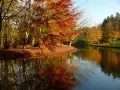 open picture: «Autumn landscape»