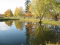 open picture: «Autumn pond»