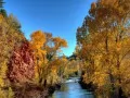 open picture: «Autumn stream»