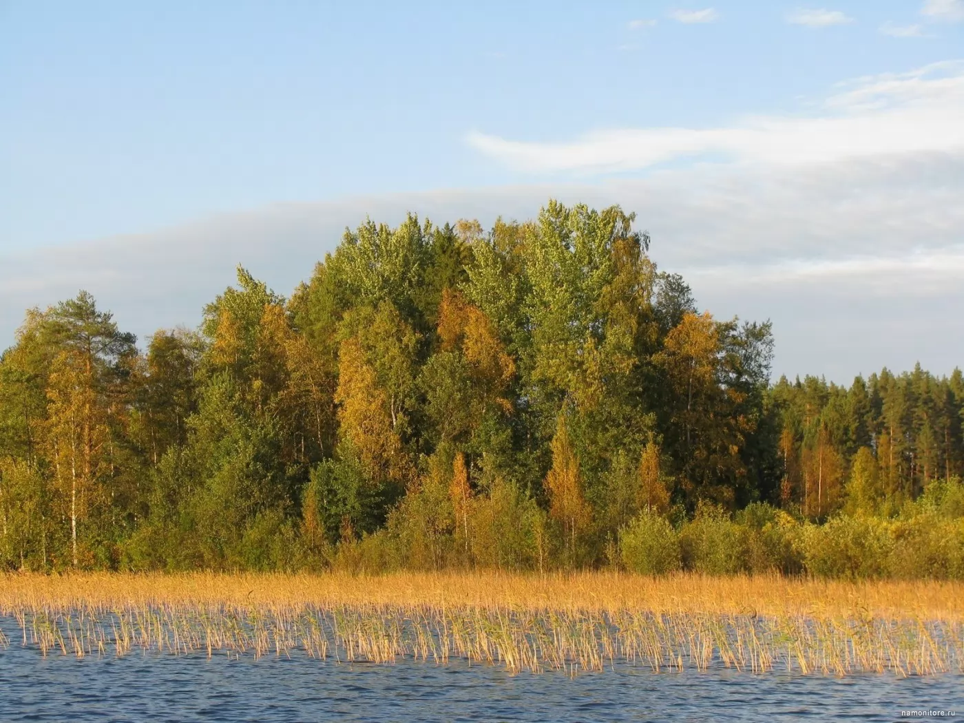Осенняя палитра, зеленое, лес, озеро, осень, природа х