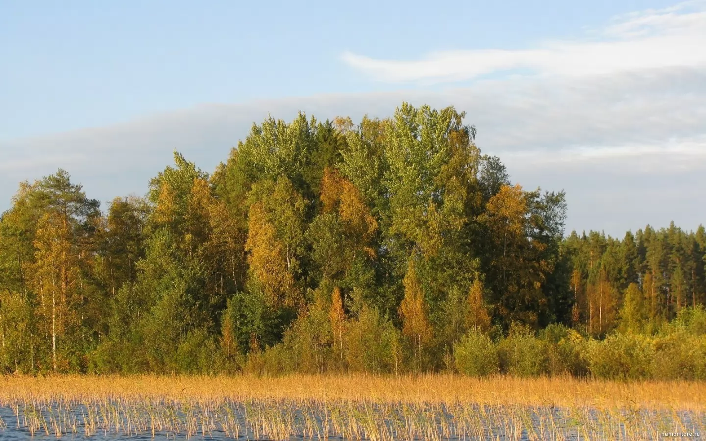 Осенняя палитра, зеленое, лес, озеро, осень, природа х