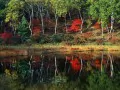 open picture: «Landscape of autumn»
