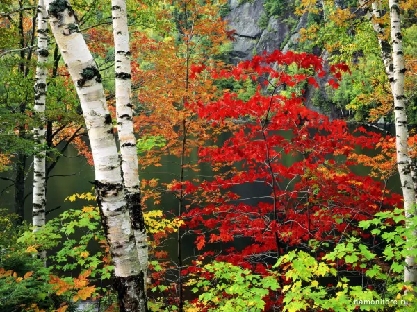 ш. New York, Adirondak, Autumn