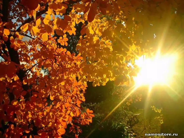 Солнечный осенний день, Осень