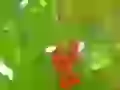 Have hidden