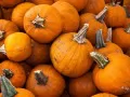 open picture: «Pumpkins»