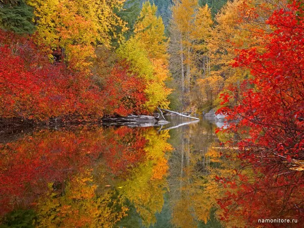 Вашингтон, Осень
