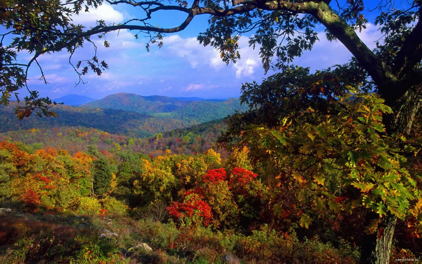 Вирджиния, осенний горизонт, Америка, лес, осень, пейзажи, природа х