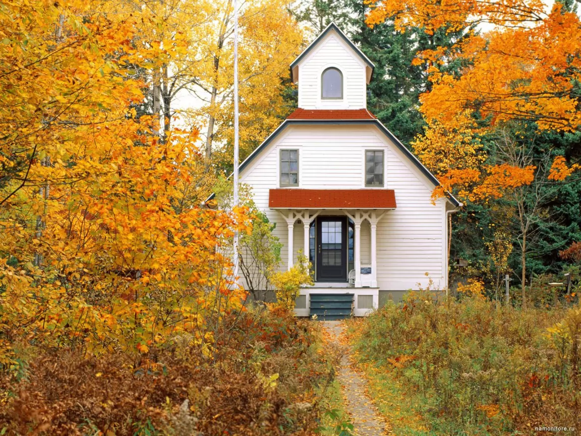 Wisconsin, America, autumn, nature, yellow x