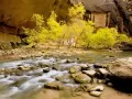 выбранное изображение: «Юта, Национальный парк Зион»