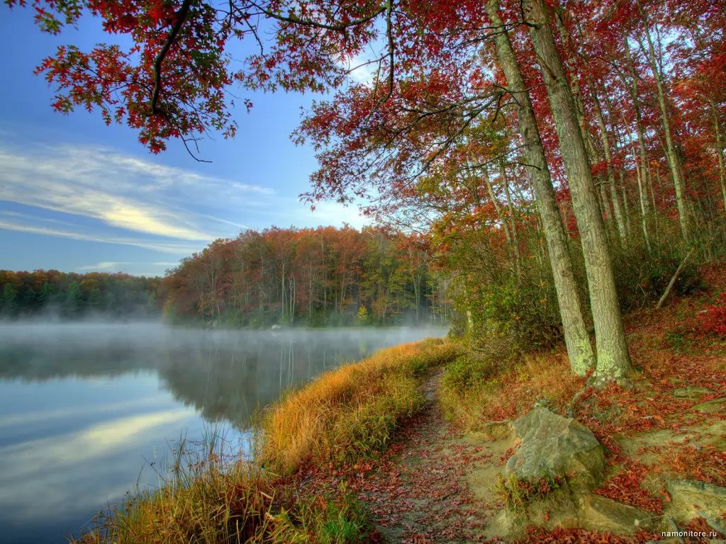 Западная Вирджиния, Babcock State Park, Америка, лес, озеро, осень, побережье, природа х
