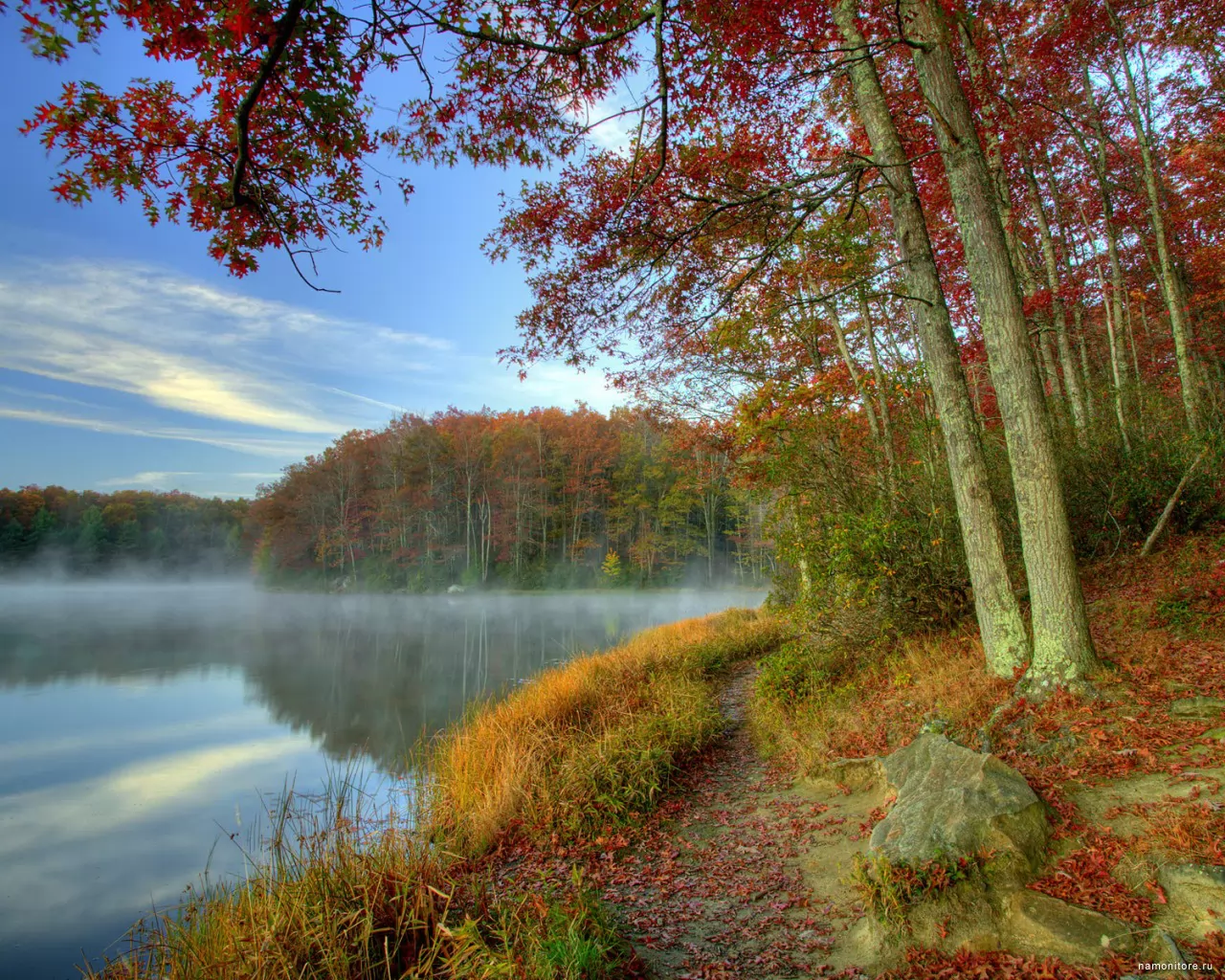 Западная Вирджиния, Babcock State Park, Америка, лес, озеро, осень, побережье, природа х