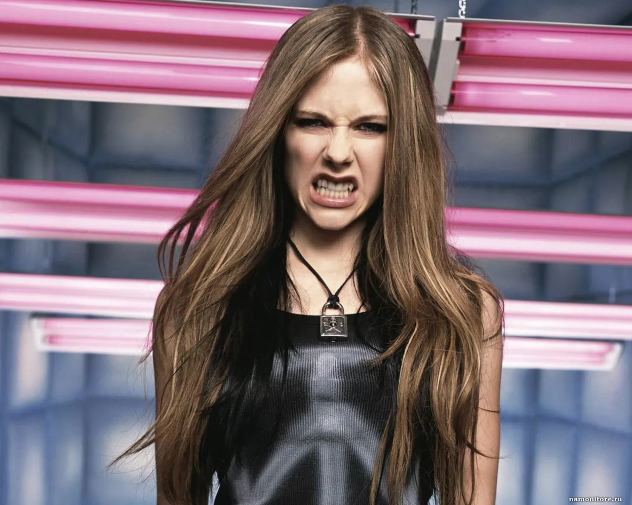   / Avril Lavigne 22,  , , , ,  
