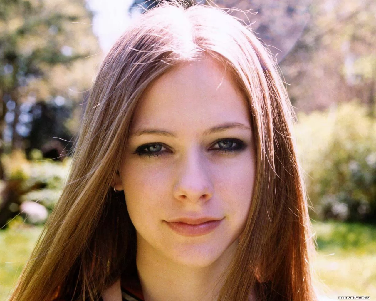   / Avril Lavigne 31,  , , , ,  