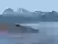 Bear against mountains