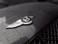 Emblem Bentley on a cowl