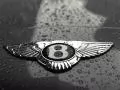 Emblem Bentley with water drops