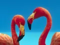 open picture: «Flamingo»