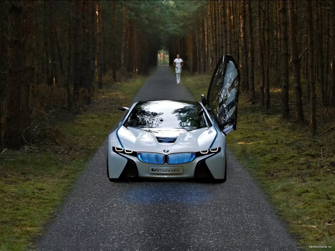 BMW Vision EFFICIENTDYNAMICS Concept