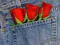 Roses in a pocket