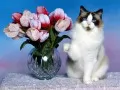 I give you a bouquet