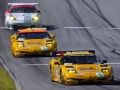 open picture: «Two yellow Chevrolet Corvette on a racing line»