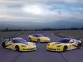 обои для рабочего стола: «Три жёлтых Chevrolet Corvette C6.R GT2»