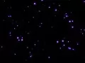 current picture: «Violet stars»